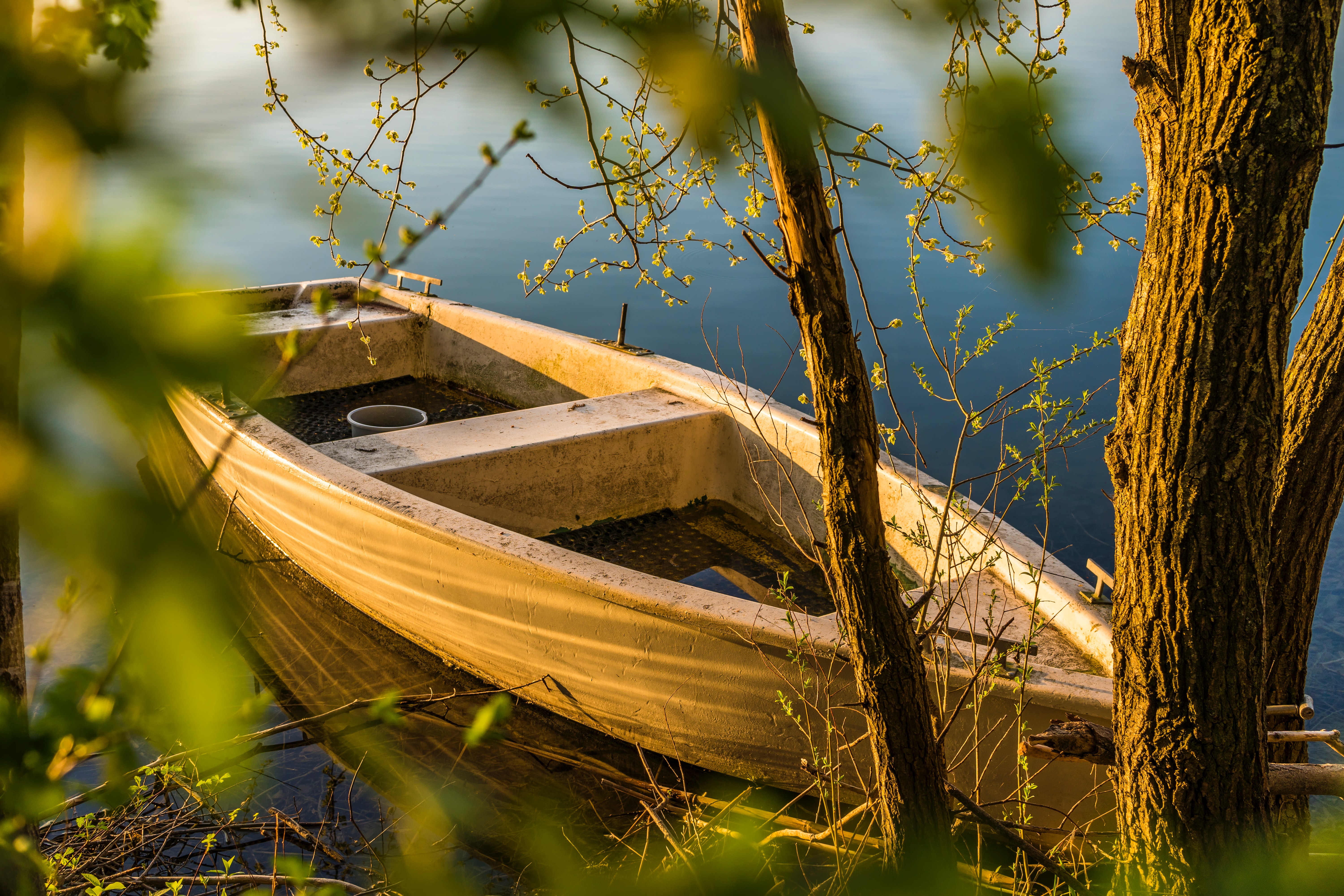 bark-boat-dawn-1039080.jpg